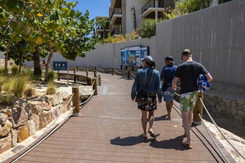 Los Cabos: Guided Snorkeling Tour with Transportation - An In-Depth Look at the Snorkeling Adventure in Chileno Bay