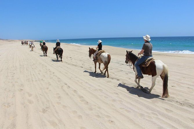 Los Cabos Horseback Riding - Final Thoughts: Is It Worth It?