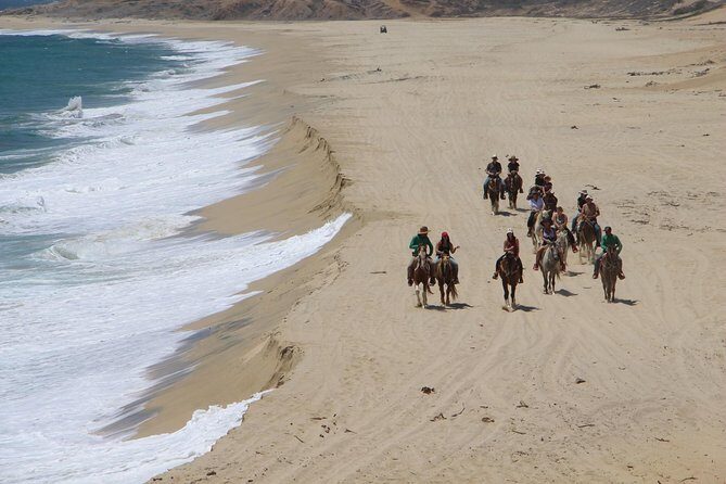 Los Cabos Horseback Riding - FAQ