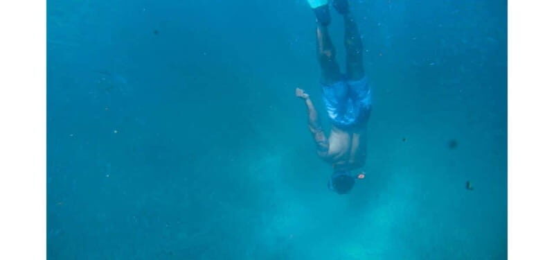 Los Cabos: Land's End Kayak and Snorkel Tour - Final Thoughts