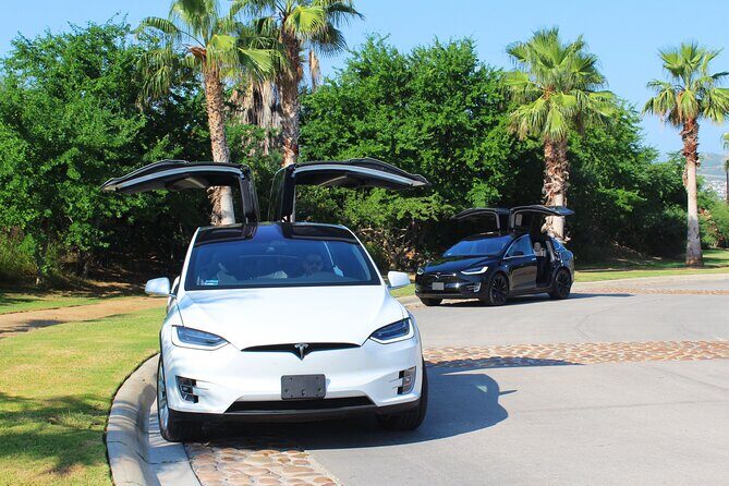 Los Cabos Luxury Private Tesla Transfer from Airport to Cabo San Lucas Area - Key Points