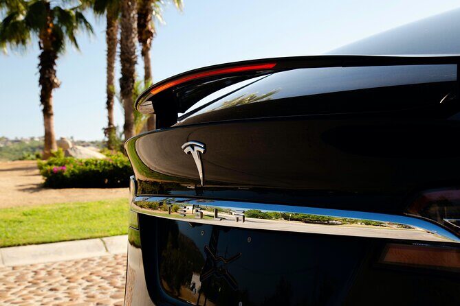 Los Cabos Luxury Private Tesla Transfer from Airport to Tourist Corridor Area - Frequently Asked Questions