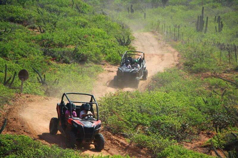 Los Cabos: Luxury UTV Viper Trail - Who This Tour Is Perfect For