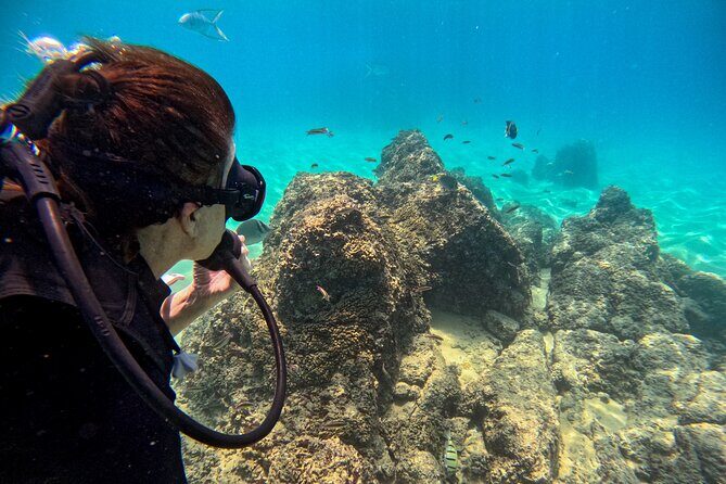 Los Cabos Open Water Diver Course - A Detailed Look at the Experience