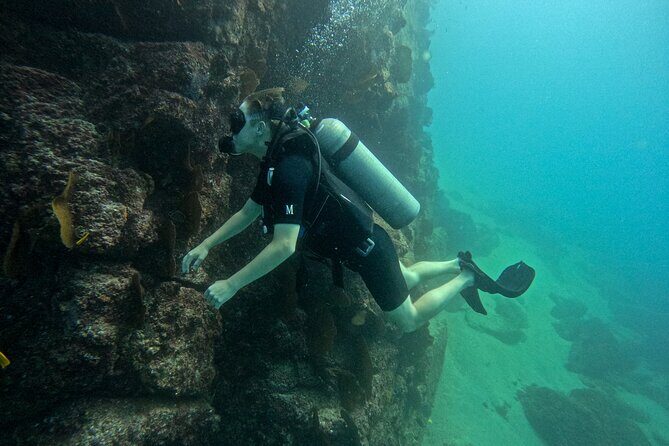 Los Cabos Open Water Diver Course - Frequently Asked Questions