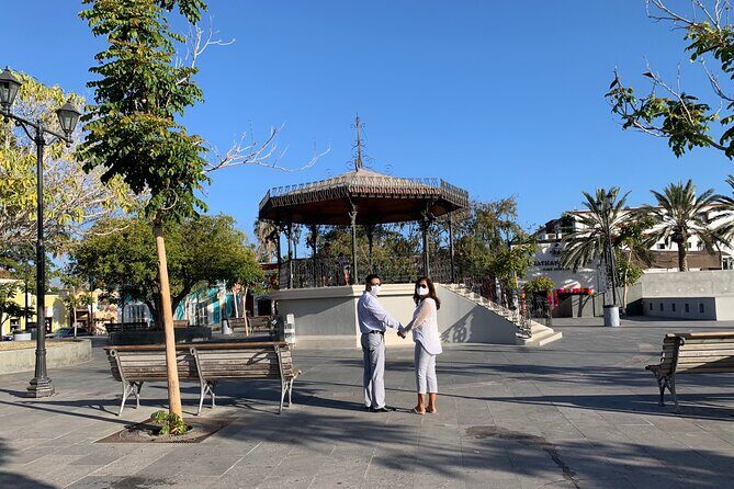 Los Cabos Private Chauffeur Service - A Closer Look at the Los Cabos Private Chauffeur Service