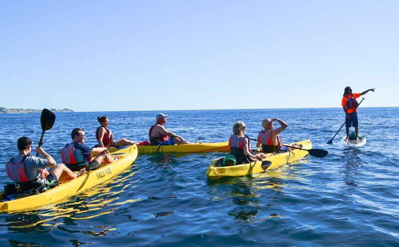 Los Cabos: Private Kayaking and Snorkeling Tour at the Arch - Final Thoughts
