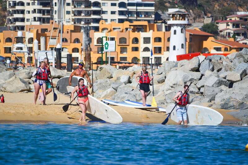 Los Cabos: Private Paddleboarding and Snorkeling Tour - Who Would Love This Tour?