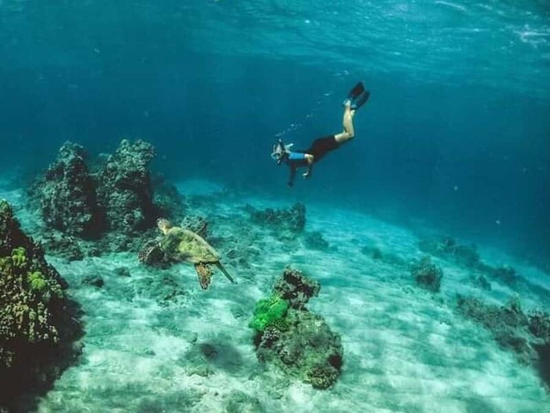 Los Cabos: Santa Maria & Chileno Bay Snorkel Adventure - Discover the Underwater Beauty of Los Cabos: Santa Maria & Chileno Bay Snorkel Adventure