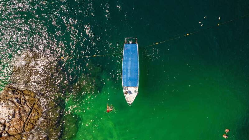 Los Cabos: Snorkel and Marine Life - Los Cabos: Snorkel and Marine Life