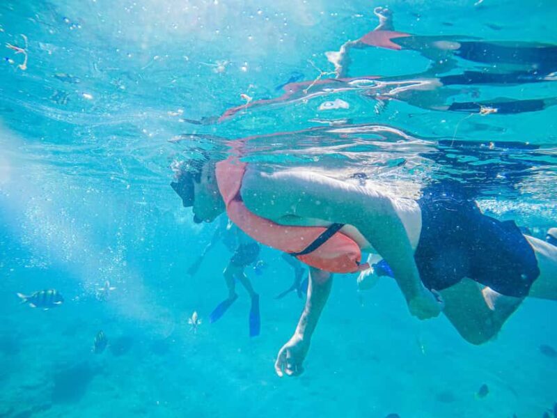 Los Cabos: Snorkeling Cruise with Lunch - Discover the Beauty of Baja Waters on the Los Cabos Snorkeling Cruise with Lunch