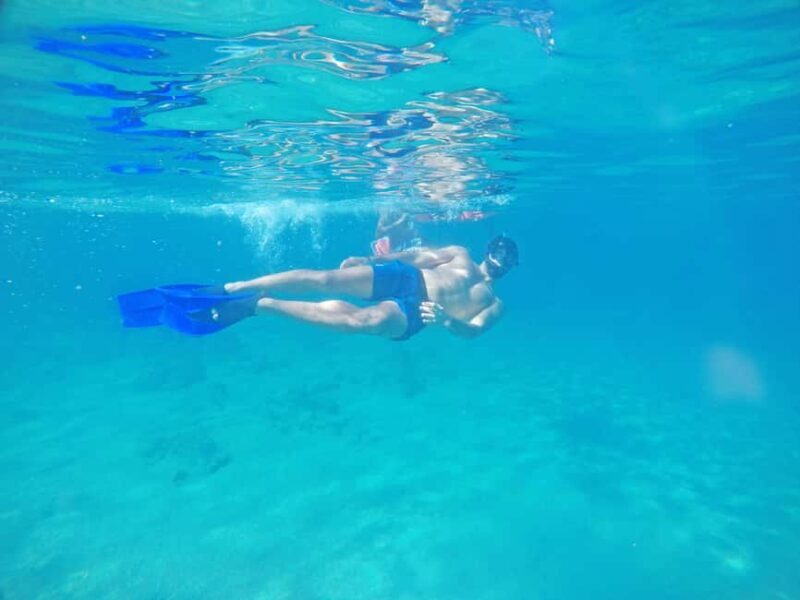 Los Cabos: Snorkeling Cruise with Lunch - Practical Details and Considerations