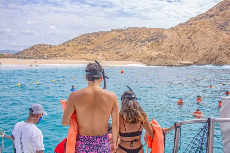 Los Cabos: Snorkeling Cruise with Lunch - Authentic Experiences and Honest Feedback