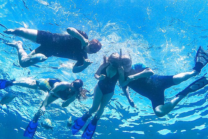 Los Cabos Snorkeling Tour by Speed Boat with Photos Included - Final Thoughts