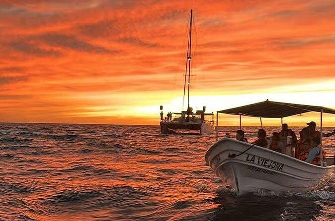 Los Cabos Sunset Boat Tour - A Deep Dive into the Los Cabos Sunset Boat Tour