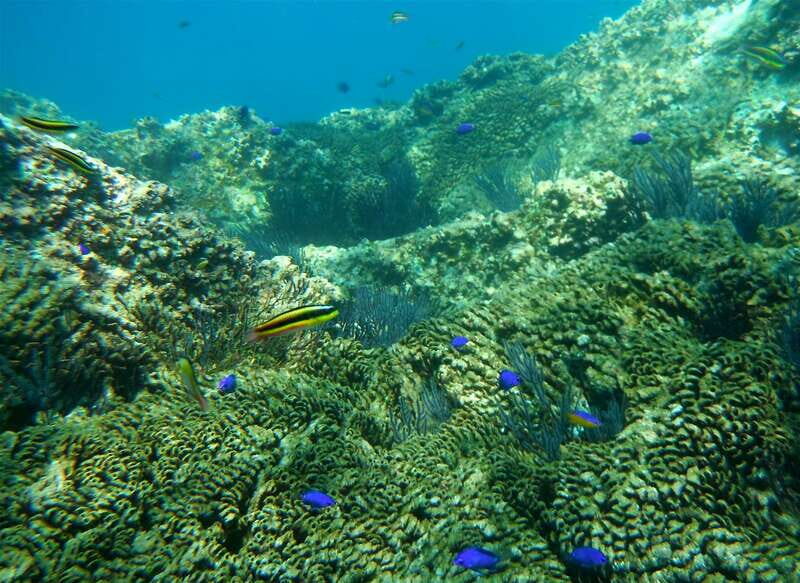 Los Cabos: The Arch and Lover's Beach Kayaking + Snorkeling - Who Should Book This Tour?