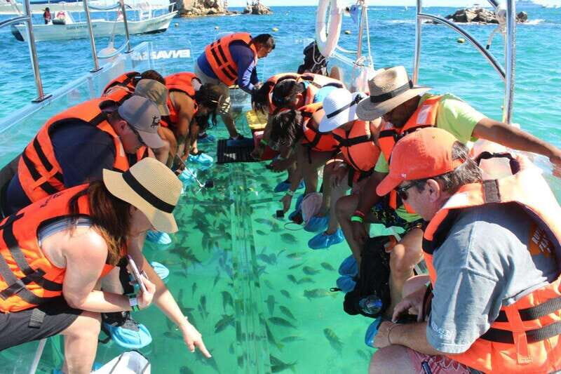 Los Cabos: Transparent Boat Tour with Optional City Tour - Key Points