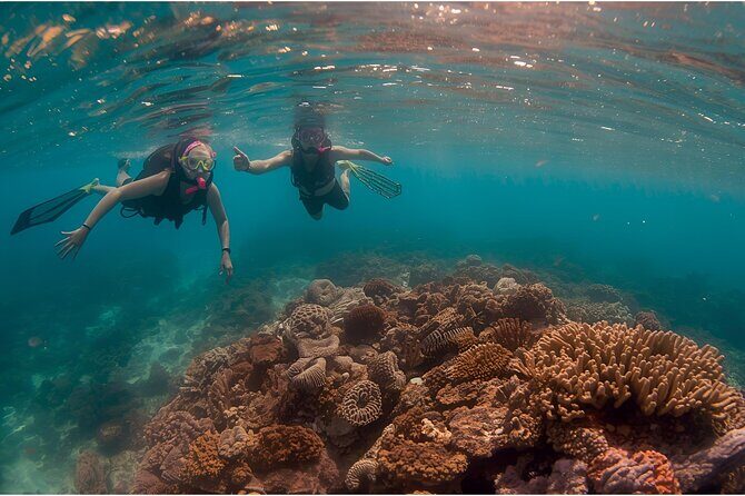 Los Cabos Yacht Private Charter Snorkeling and Beach Adventure - Who Should Consider This Tour?