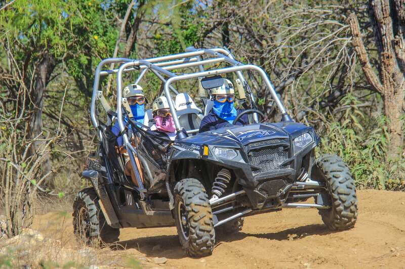 Los Cabos: Zip Lines and UTVs with Mexican Lunch and Drinks - A Deep Dive into Your Los Cabos Adventure: What to Expect and Why It Matters