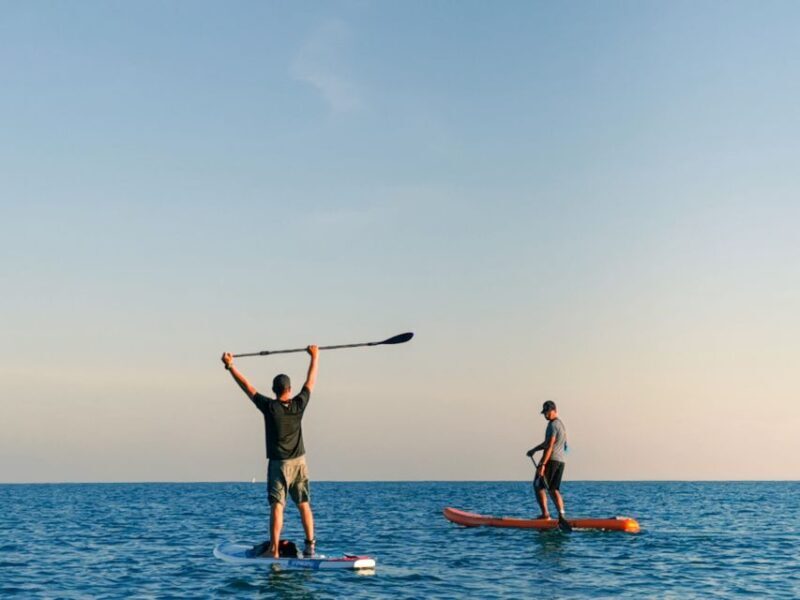 Los Cristianos : 1 Hour of Paddle surf Rental - Who Will Love This Experience?