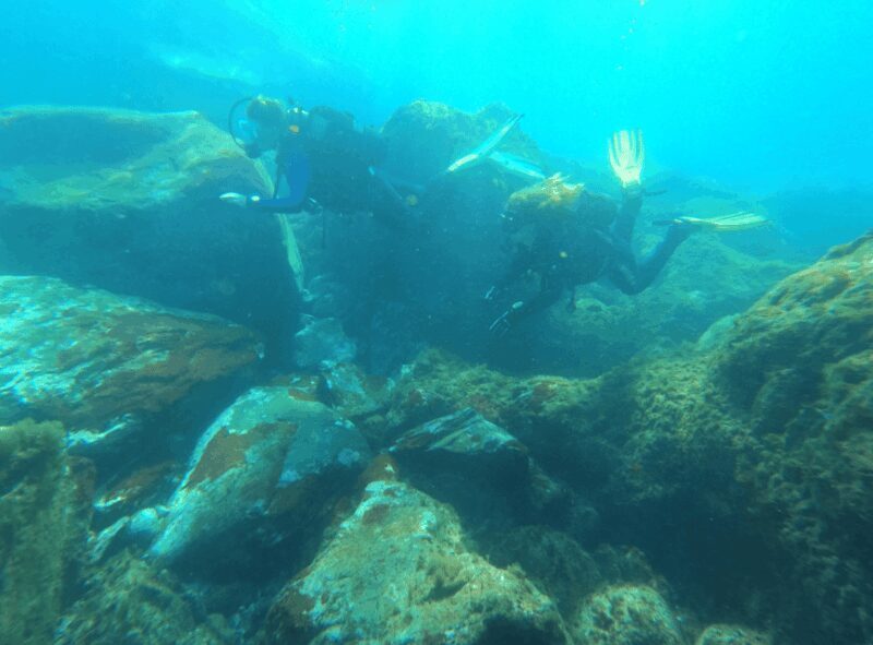 Los Cristianos: Basic Diver Course - The Value of a Scuba Experience in Tenerife