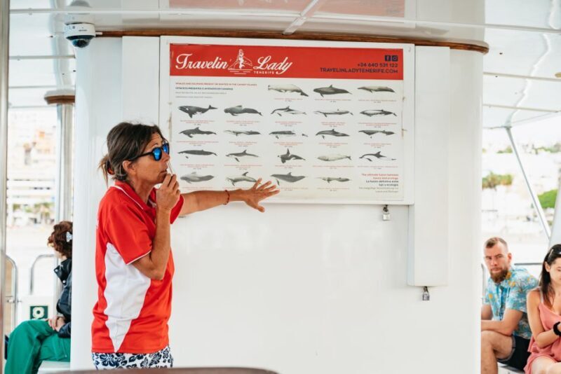 Los Cristianos: Eco-Yacht Whale Watching Cruise with Swim - An Authentic Marine Adventure around Tenerife’s Coast