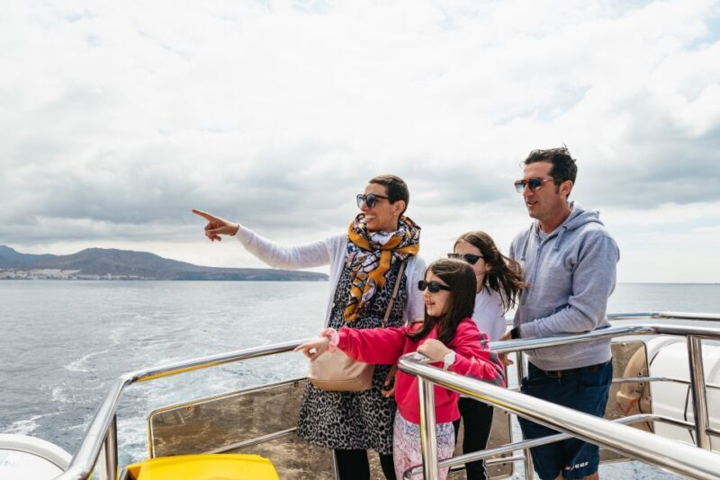 Los Cristianos: Eco-Yacht Whale Watching Cruise with Swim - The Sum Up