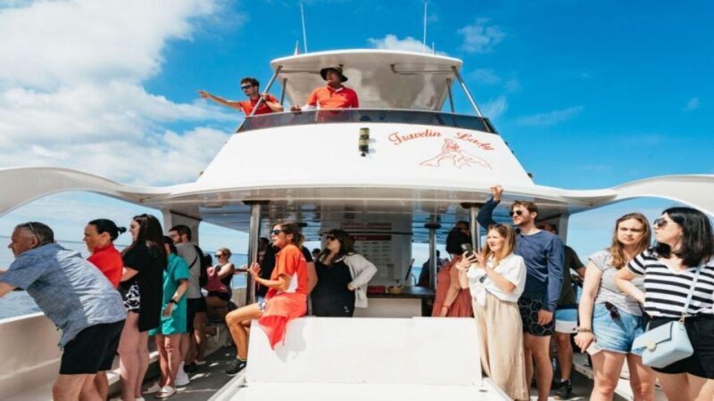 Los Cristianos: Eco Yacht Whale Watching Tour at Sunset - Los Cristianos: Eco Yacht Whale Watching Tour at Sunset – A Complete Guide