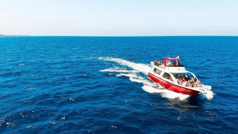 Los Cristianos: Eco Yacht Whale Watching Tour at Sunset - Why This Whale Watching Tour in Los Cristianos is Worth Your Time