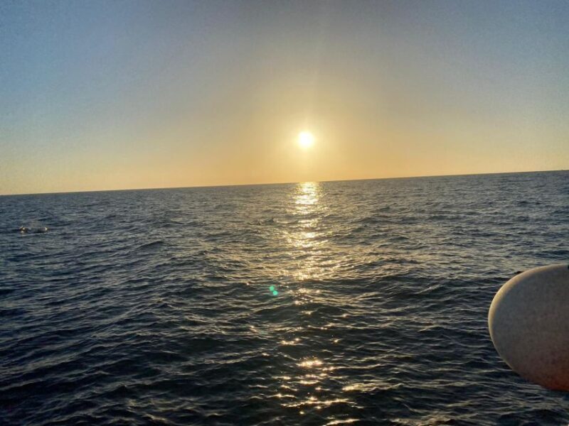 Los Cristianos: Eco Yacht Whale Watching Tour at Sunset - Real Guest Perspectives