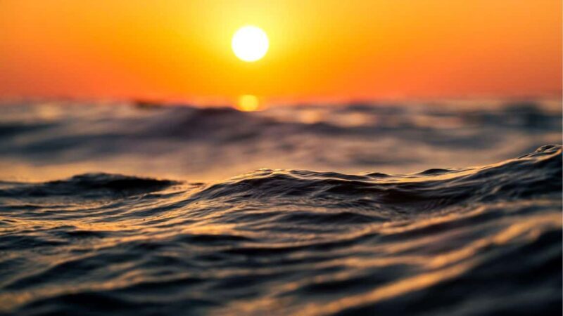 Los Cristianos : Sunset Kayak Safari with Cave & Wildlife - Key Points