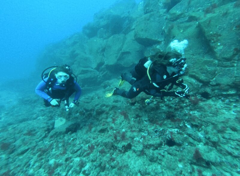 Los Cristianos: Try Dive for beginners - FAQ