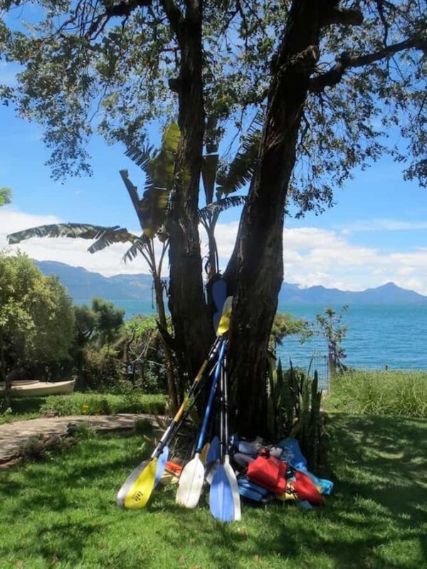 Los Elementos Adventure Center: Kayak, Swim, and Relax - Los Elementos Adventure Center: Kayak, Swim, and Relax