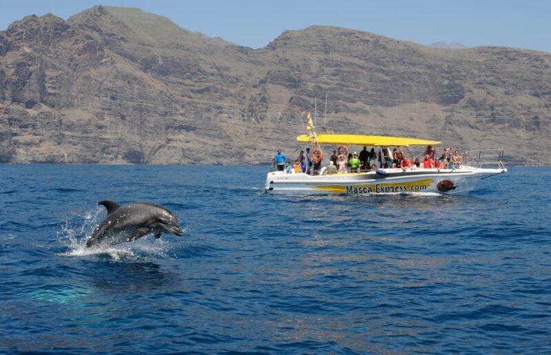 Los Gigantes: Dolphin & Whale Watching Cruise with Swim Stop - Frequently Asked Questions