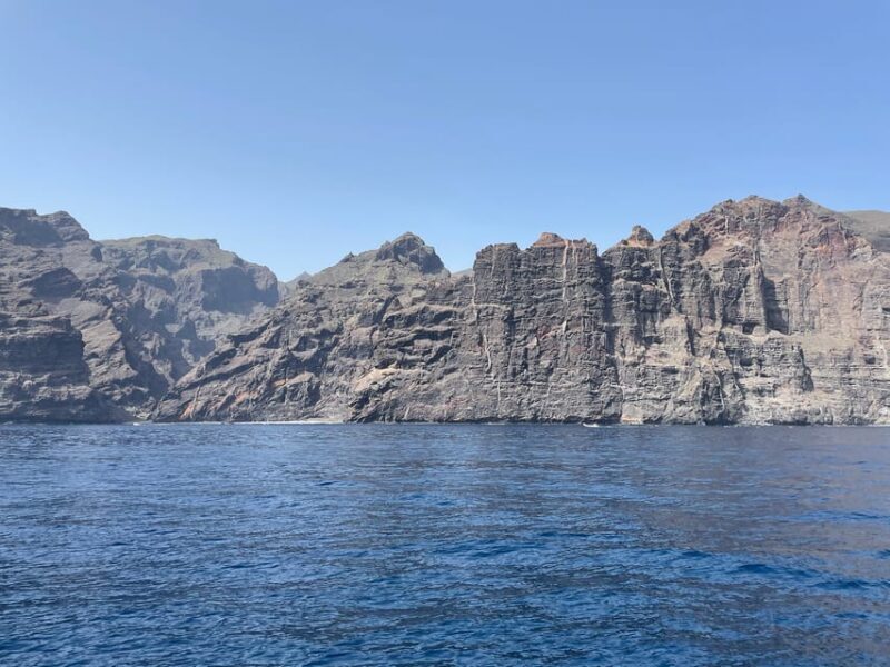 Los Gigantes: Private Sailing Tour with Swim, Drink, & Tapas - Who Should Consider This Tour?