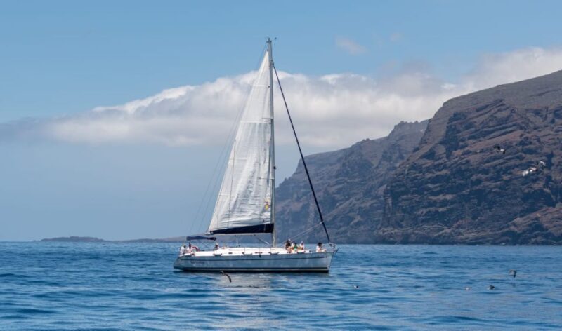 Los Gigantes: Sailing Excursion with Swimming, Drink & Tapas - Key Points