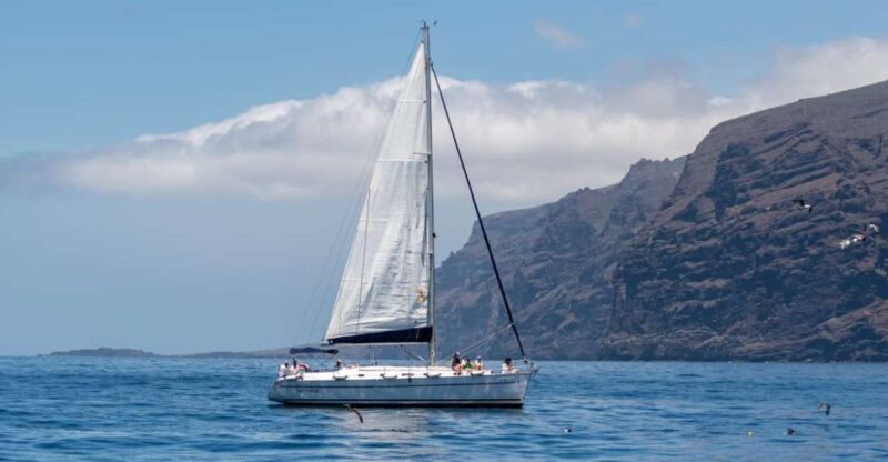 Los Gigantes: Sailing Excursion with Swimming, Drink & Tapas - Why This Tour Stands Out