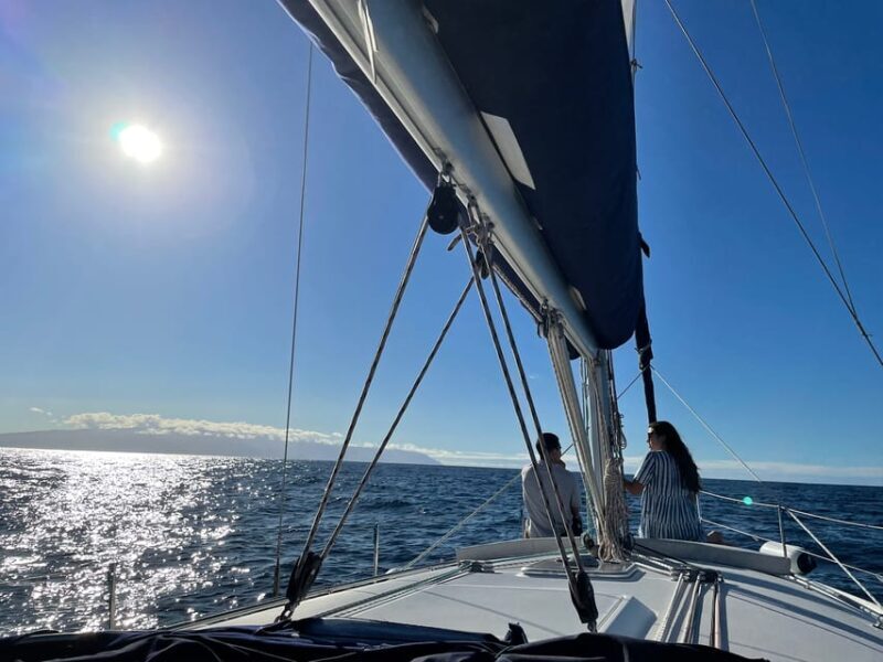 Los Gigantes: Sailing Excursion with Swimming, Drink & Tapas - Final Thoughts