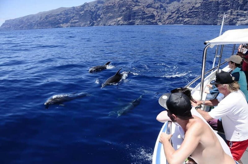 Los Gigantes: Whale or dolphin watching and swimming tour in Masca - A Detailed Look at the Experience