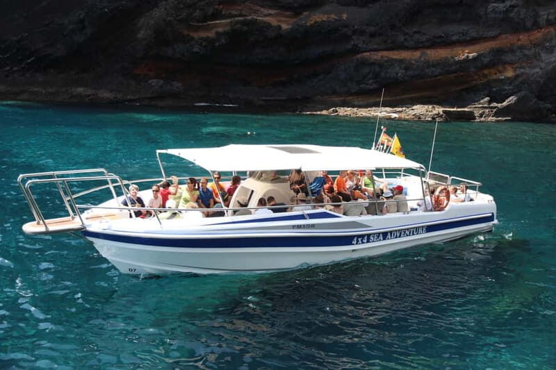 Los Gigantes: Whale or dolphin watching and swimming tour in Masca - FAQs