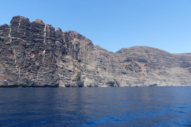 Los Gigantes Whale Watching Charter by Sail Boat - The Sum Up