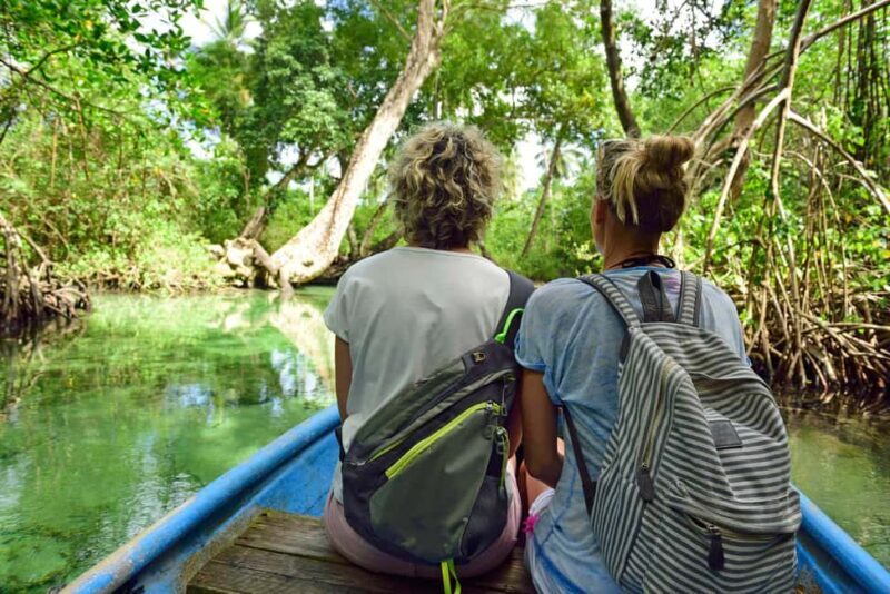 Los Haitises: Cacao & Coffee Rainforest Hike/Boat Tour - Why This Tour Works for You