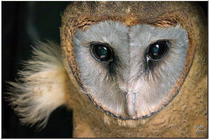 Los Haitises & Cayo Levantado (Lunch included, from Samana in Catamaran or Boat) - In-Depth Review of the Tour Experience