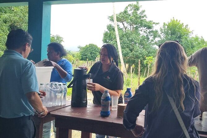 Los Haitises Day Trip with Montaña Redonda and Paraíso Caño Hondo - Key Points