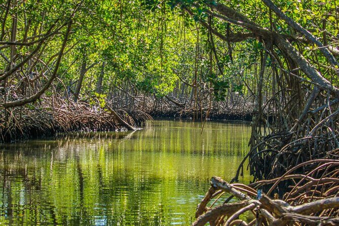 Los Haitises Day Trip with Montaña Redonda and Paraíso Caño Hondo - Who Should Book This Tour?