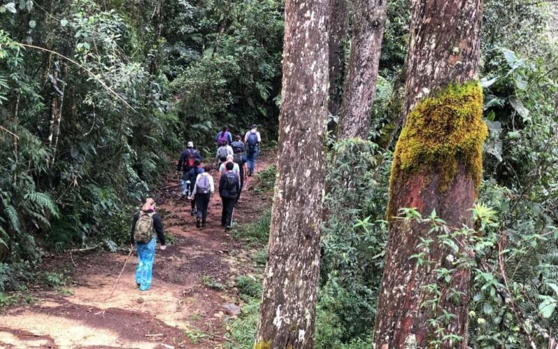 Los Haitises: Guided Kayak Tour with Local Guide - Key Points