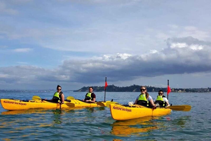 Los Haitises: Guided Kayak Tour with Local Guide - Final Thoughts