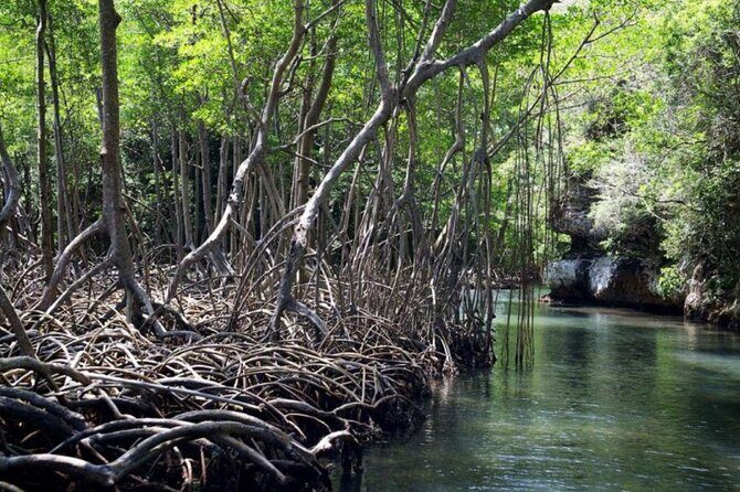 Los Haitises N. Park, Yanigua Waterfall & Montaña Redonda Tour - Frequently Asked Questions