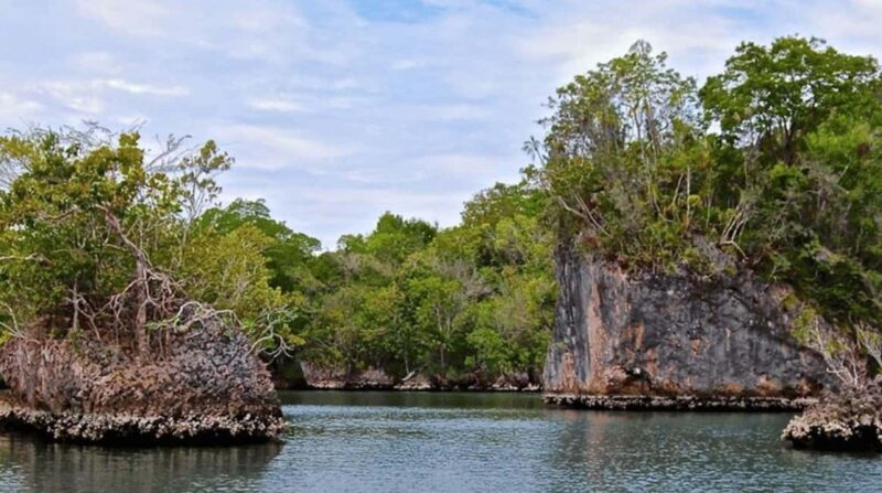 Los Haitises National Park: Boat Tour and Cave Visit - Exploring Los Haitises National Park: Boat Tour and Cave Visit