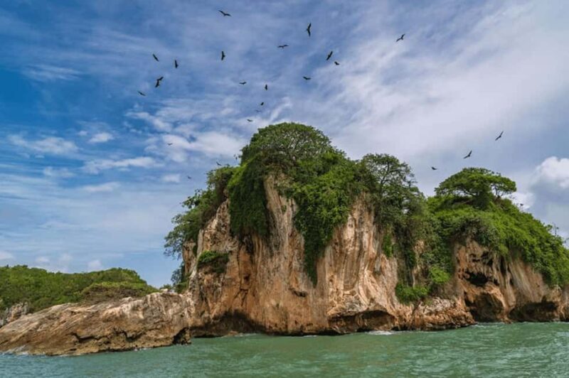 Los Haitises National Park: Boat Tour and Cave Visit - Who Should Consider This Tour?